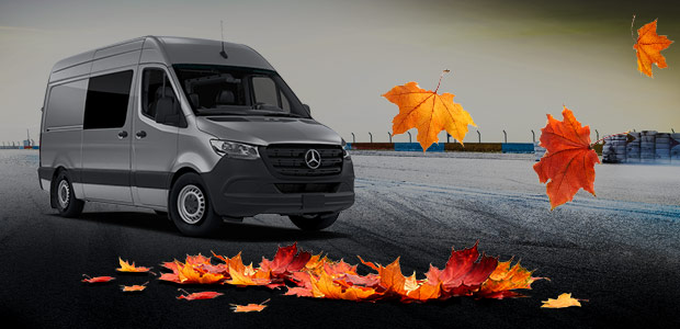 Autumn leaves around a Sprinter Van