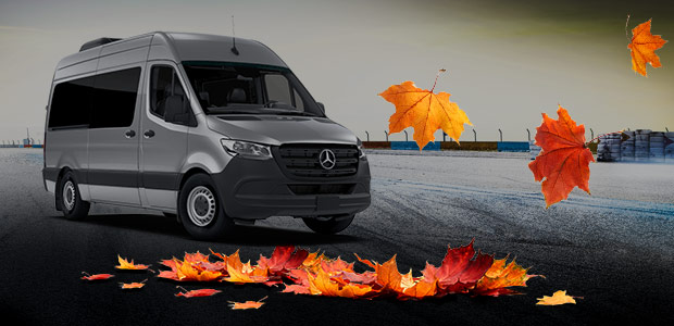 Autumn leaves around a Sprinter Van
