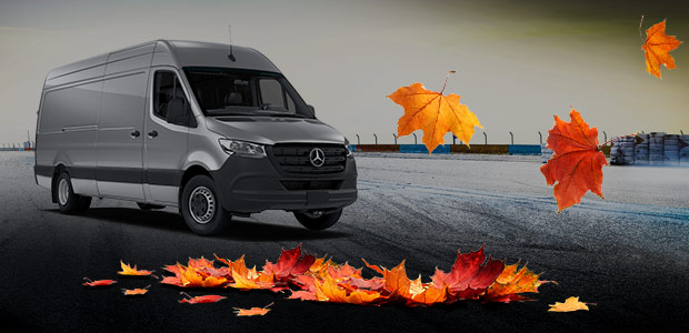 Autumn leaves around a Sprinter Van
