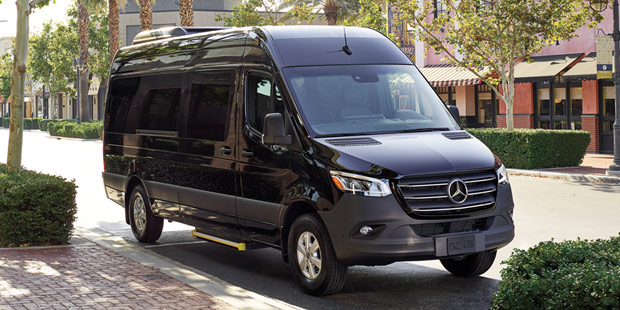 Sprinter van in front of a field of spring flowers.