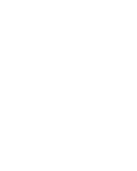 A snowflake