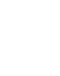 A snowflake